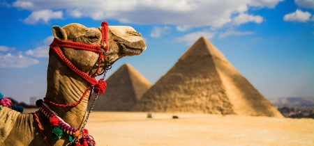 Путешествие в Египет: достопримечательности, безопасность.