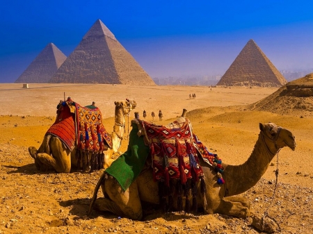 Власти Египта ждут возвращения на туристический рынок Британию.